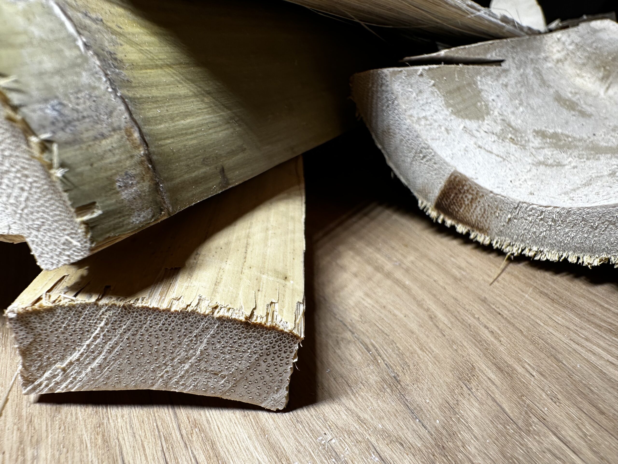 Bamboo splits showing torn fibres and vascular cell structure of the inner culm wall